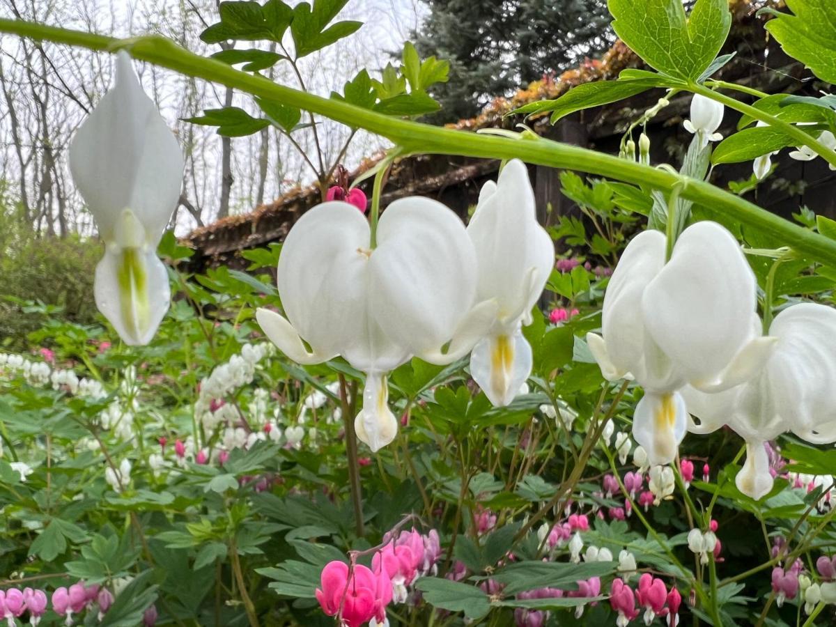 1795 Acorn Inn Bed And Breakfast 캐넌다이과 외부 사진
